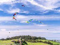 kites on green hill