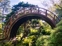 Tea Garden Bridge