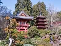 Tea Garden Pagodas