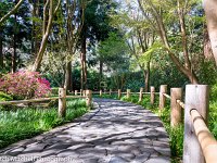 Tea Garden path