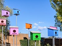 bird houses 1