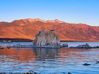 IMG 9016 Mono Lake Dawn