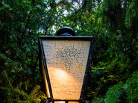 Streetlamp in the forest