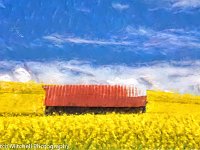 rusty red barn in yellow