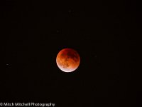 Blood Moon  Not recommended for printing larger than 5x7