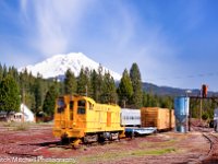 train cars & Shasta