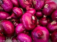 purple onions  Another metal print favorite